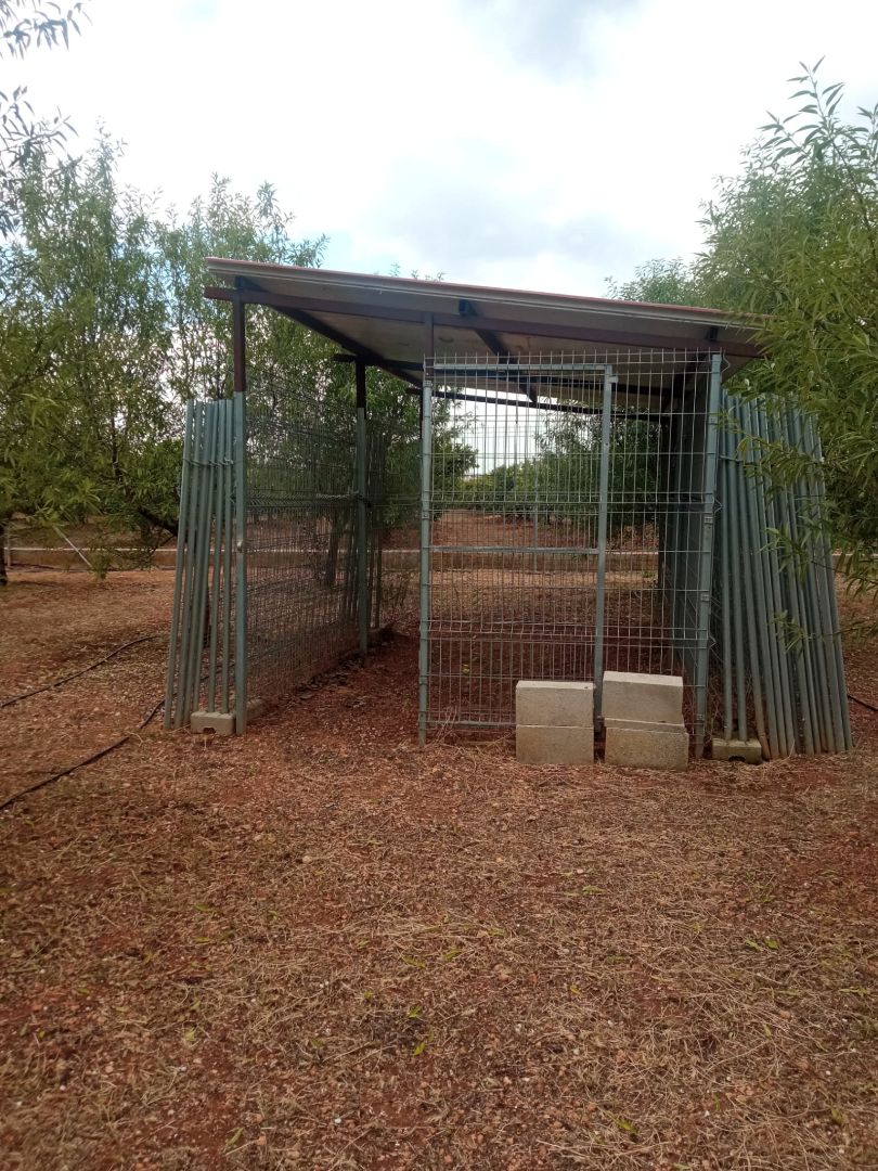 Land for sale in Plaça Numero 12, 2