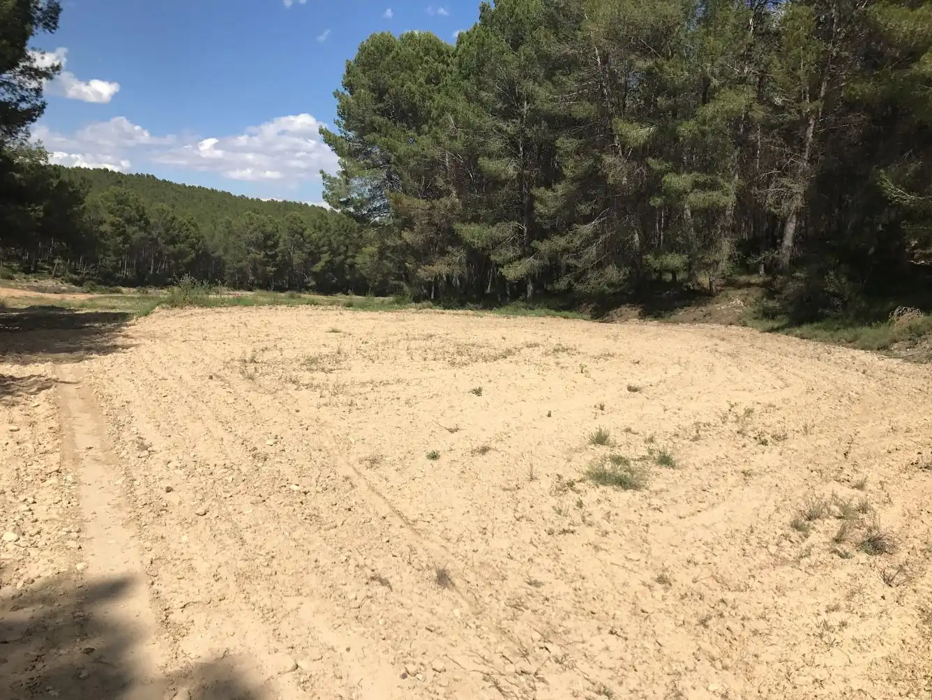 Terreny rústic en venda a Caravaca de la Cruz, imagen 14
