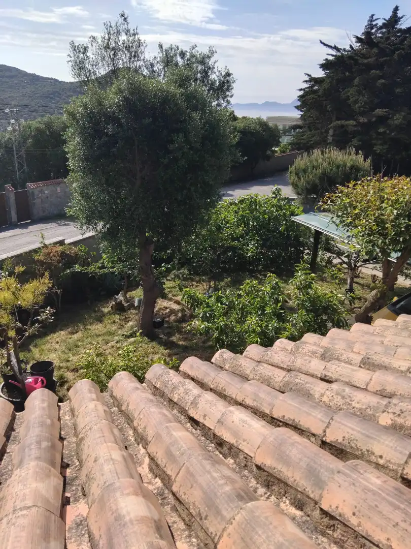 Jardí de Casa o xalet en venda en Tarifa amb Aire condicionat, Jardí privat i Parquet