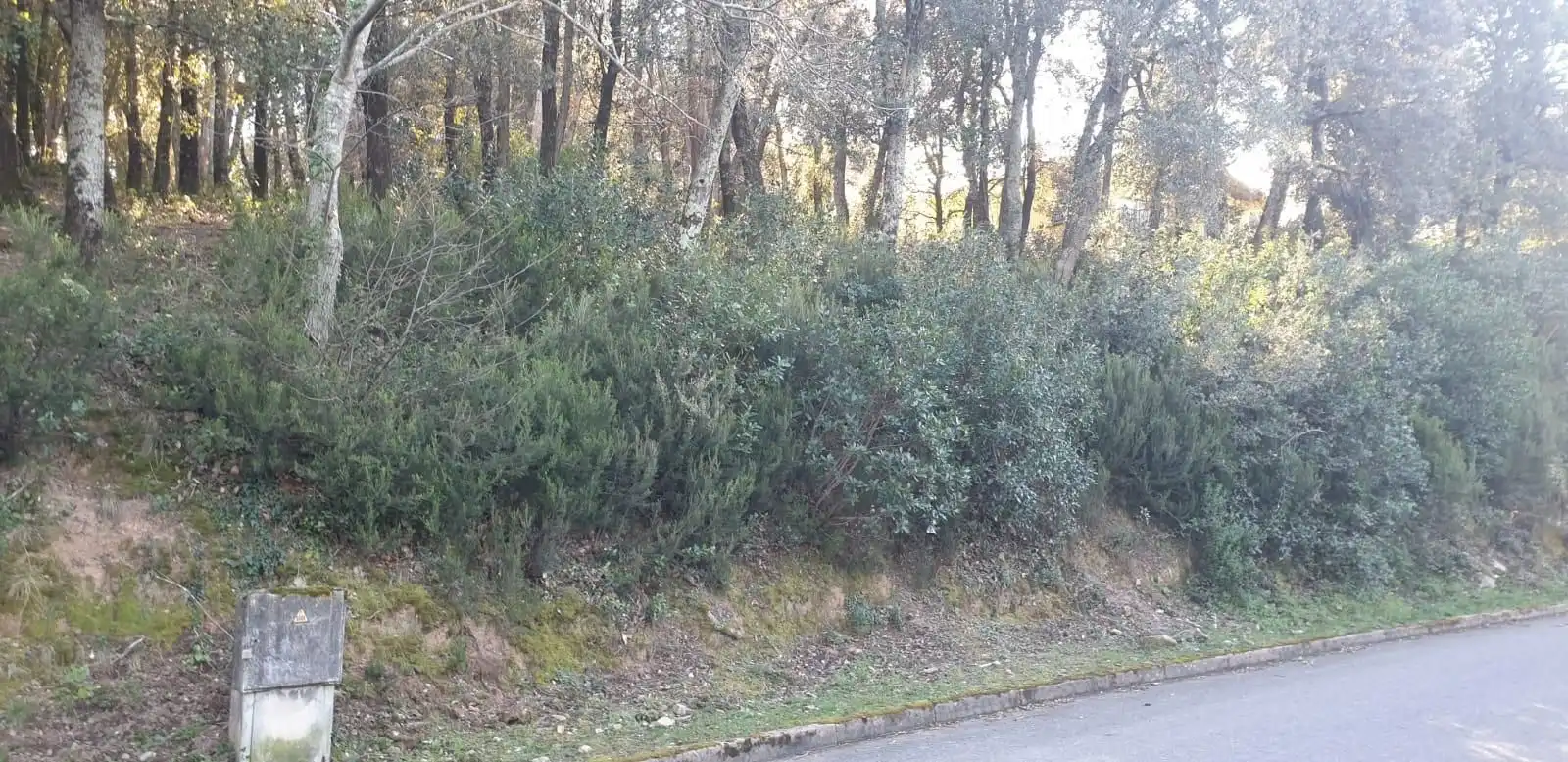 Residencial en venta en Sant Feliu de Buixalleu