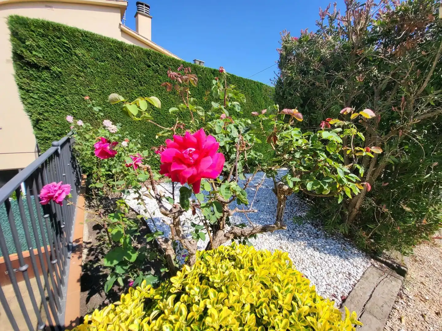 Detached house with pool for sale in Calle de Juli Cèsar, imagen 100