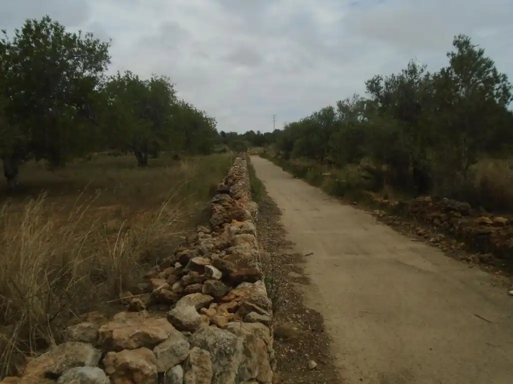 Rustikales Grundstück zum Verkauf in Paraje del Moro, imagen 11