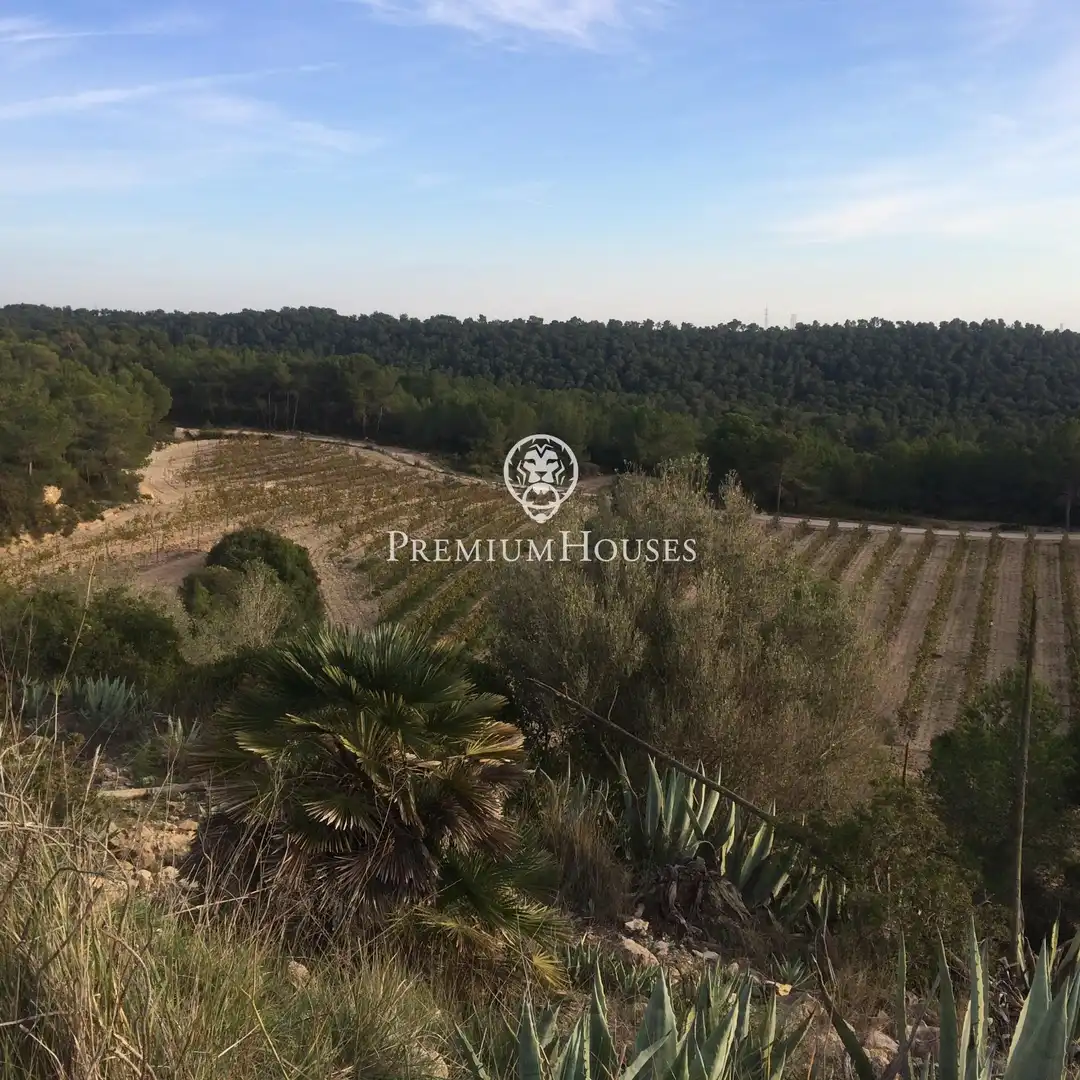Casa rustica con terrazza in vendita a Castellet i la Gornal, imagen 5