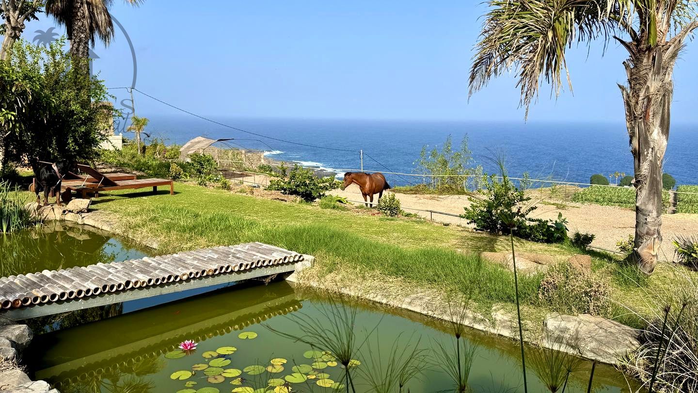 Garden of Country house for sale in Buenavista del Norte  with Private garden and Terrace