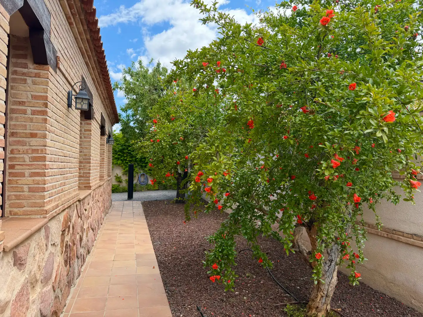 Jardín de Casa o chalet en venta en Toledo con Aire acondicionado, Calefacción y Jardín privado
