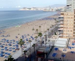 Vista exterior de Pis de lloguer en Benidorm amb Balcó