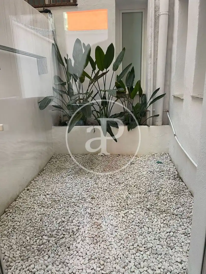 Jardí de Pis de lloguer en Valencia amb Aire condicionat, Calefacció i Terrassa