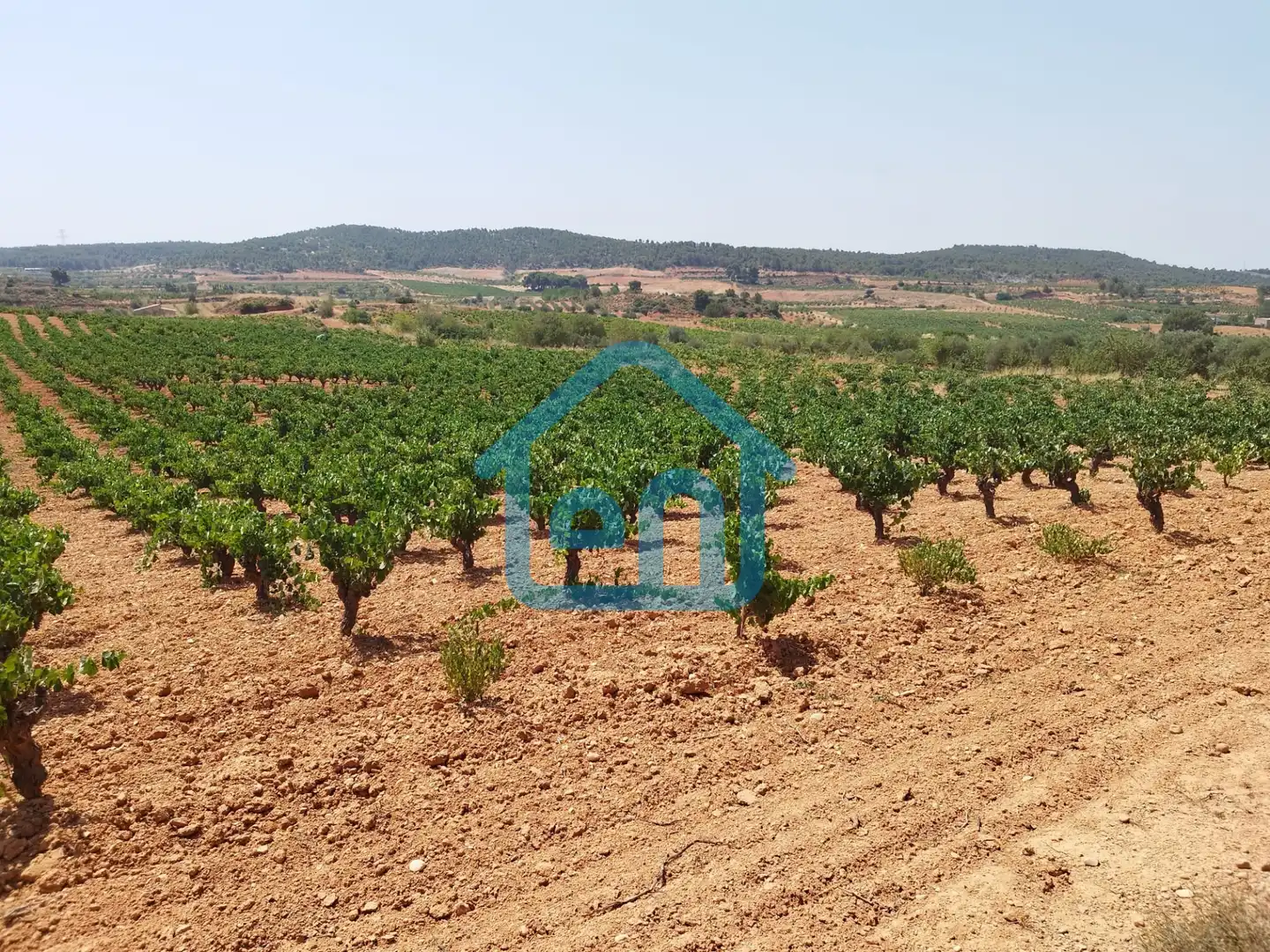 Terreno rustico in vendita a Requena, imagen 5