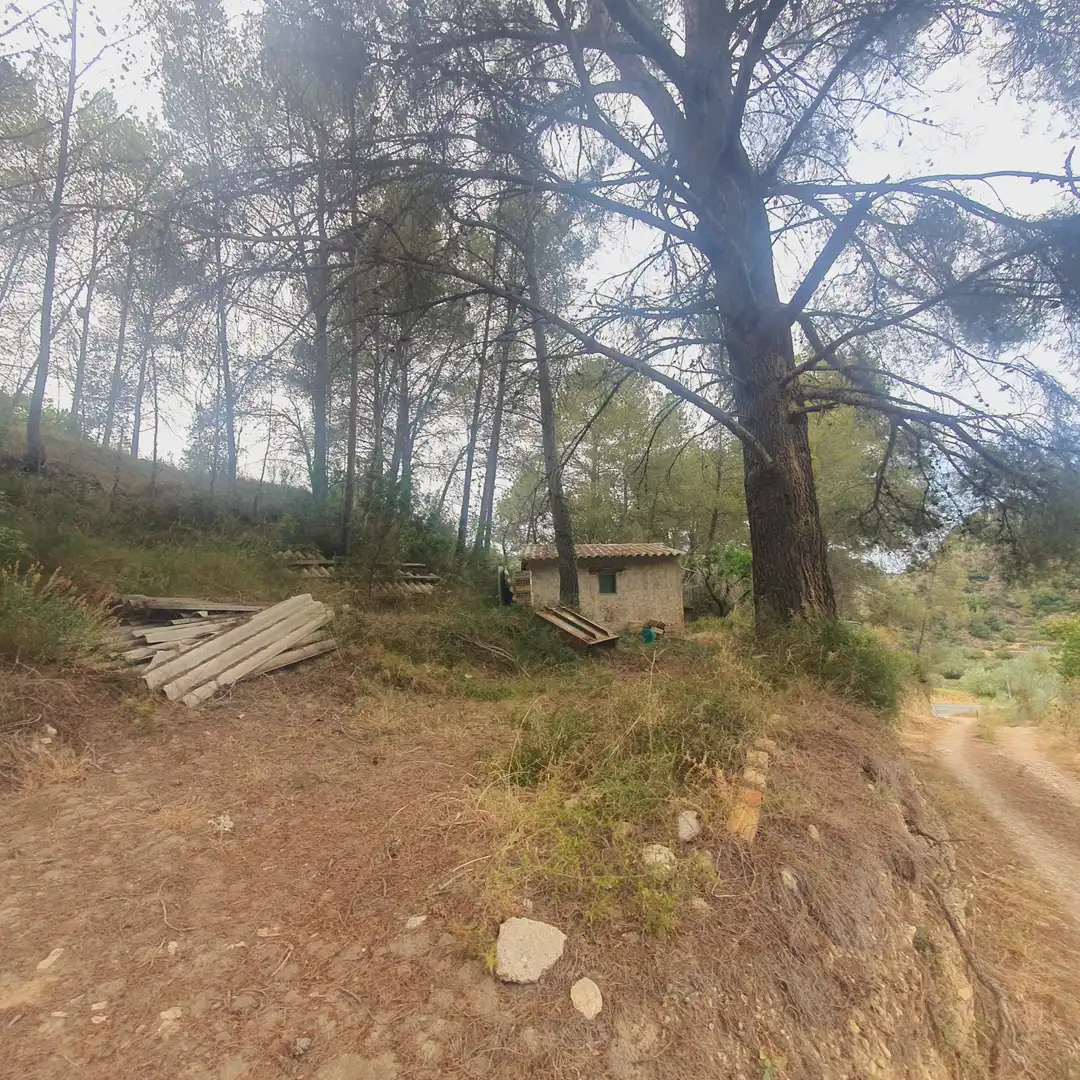 Terreno rústico en venta en Benifallet, imagen 19