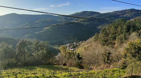 Foto 5 de Finca rústica en venda a Ramuin, Nogueira de Ramuín, Ourense