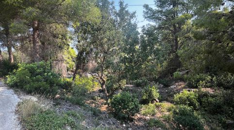 Foto 4 de Residencial en venta en Carrer Peixos, 1, Las Rotas / Les Rotes, Dénia