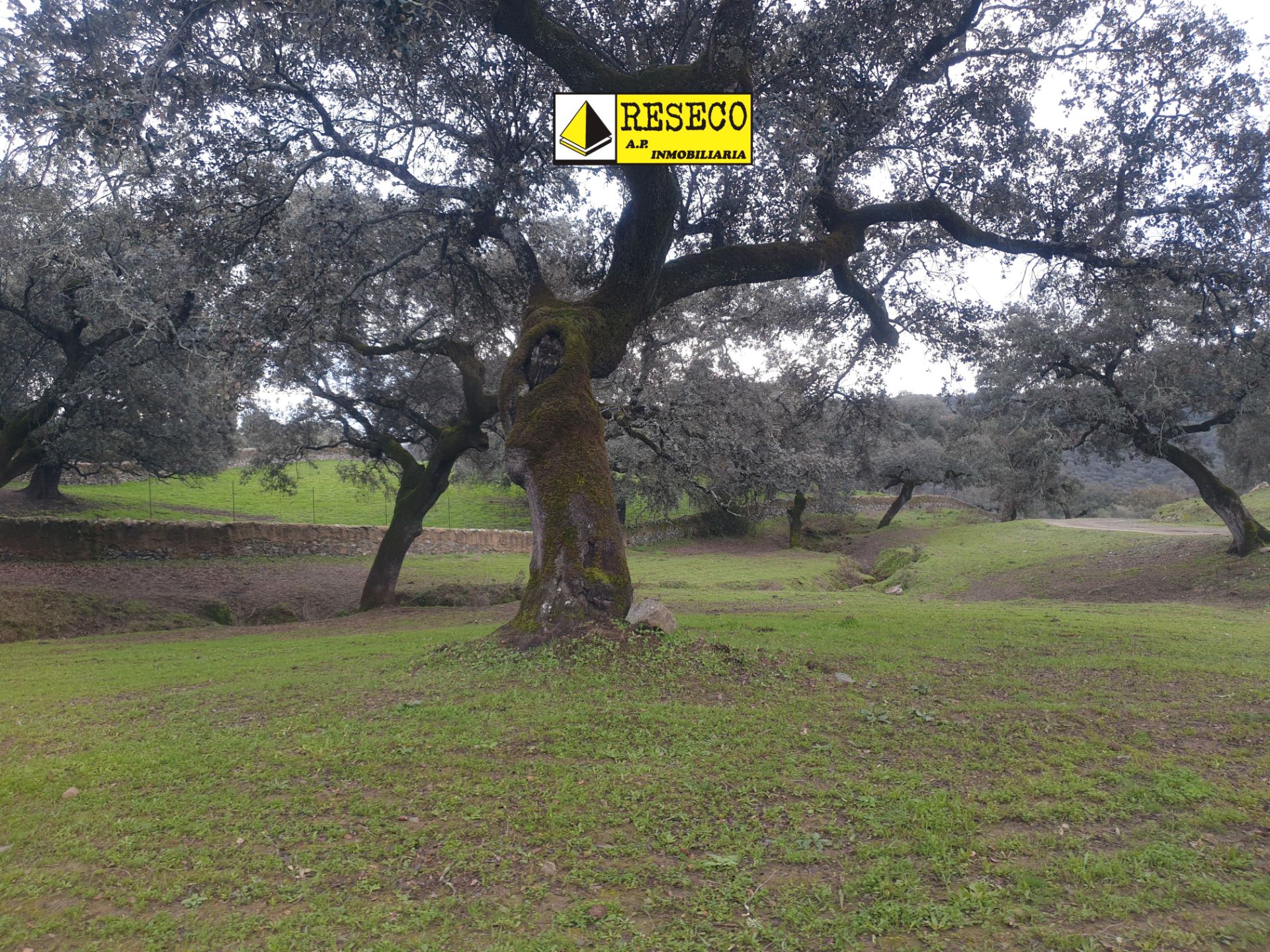 Land for sale in  Sevilla Capital