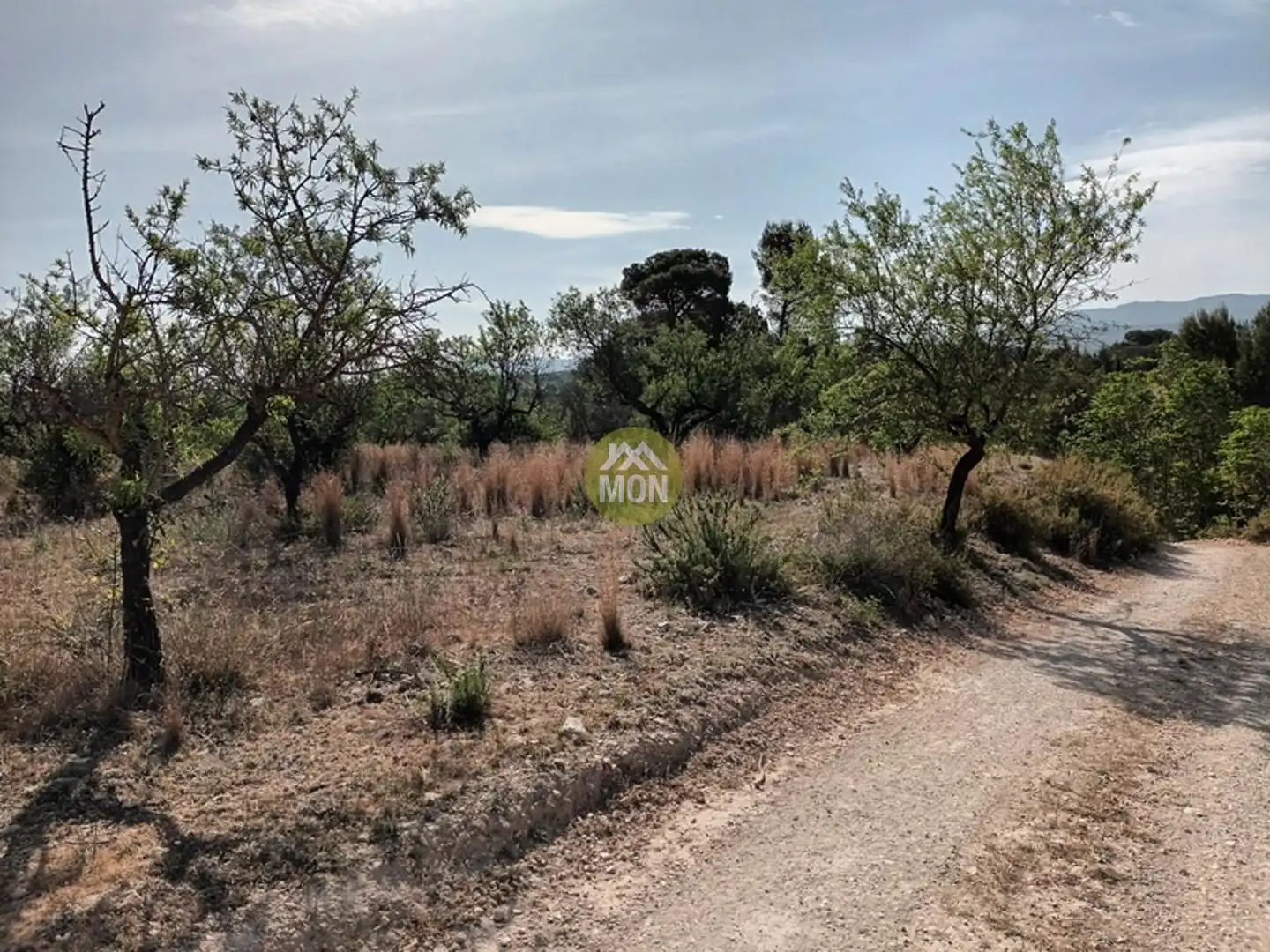Residential land for sale in Centro, imagen 9