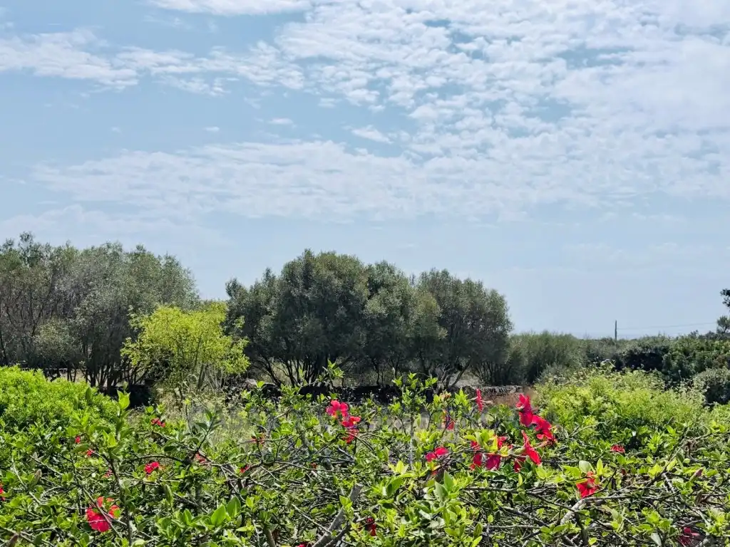 Finca rústica en venda en Sant Lluís