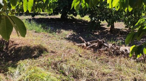 Photo 5 of Country homes for sale in Almuñecar Centro, Almuñécar