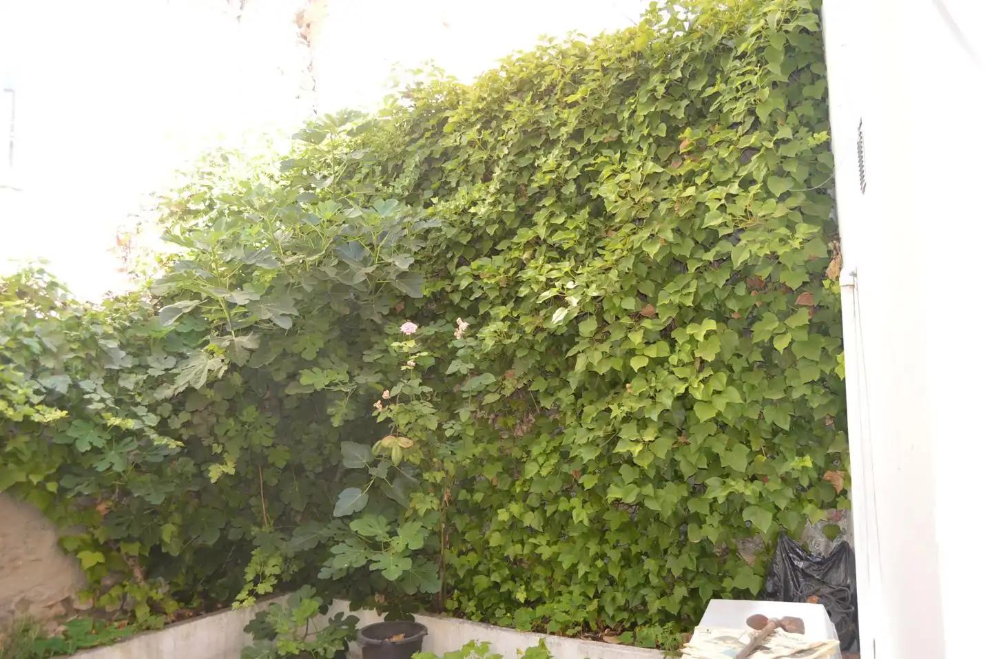 Garden of Houses for sale in Huete  with Furnished