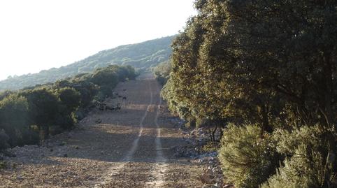 Foto 5 de Finca rústica en venta en Piedrabuena, Ciudad Real