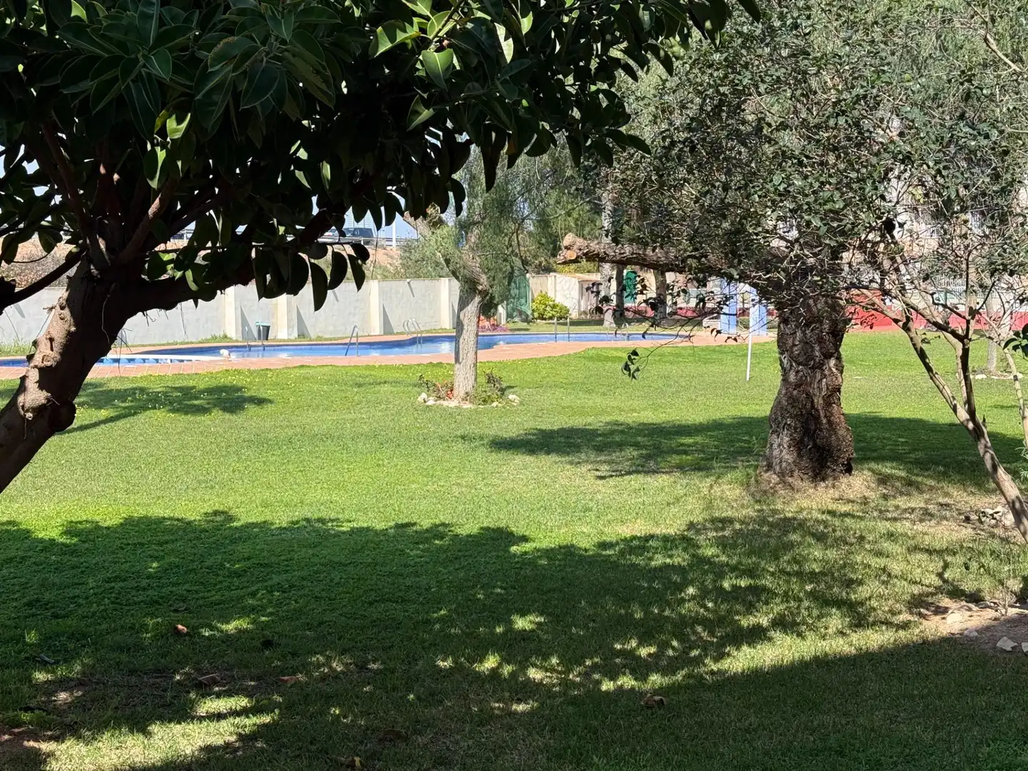 Garten von Erdgeschoss zum Verkauf in Torrevieja mit Klimaanlage, Terrasse und Schwimmbad
