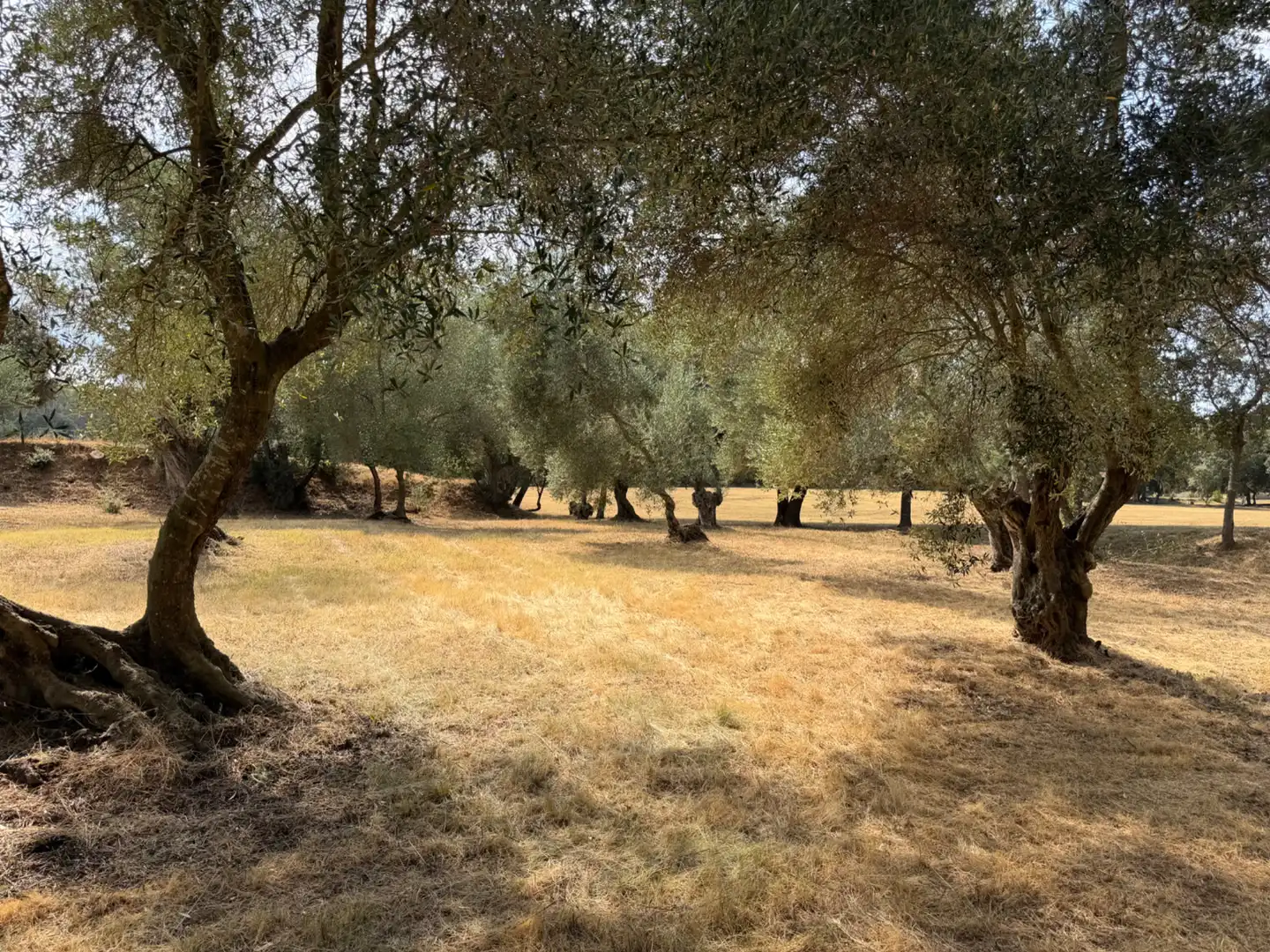 Casa o xalet en venda a Parlavà