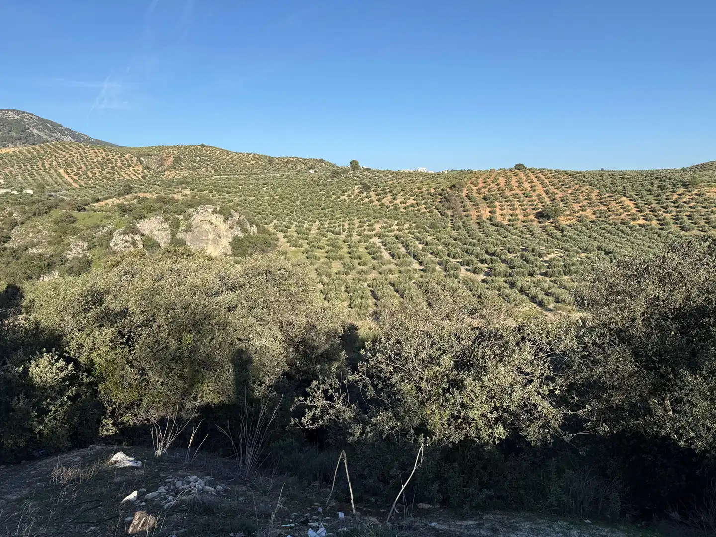 Rustikales Grundstück zum Verkauf in 8536+FQ Algarra sales, Spain, imagen 13