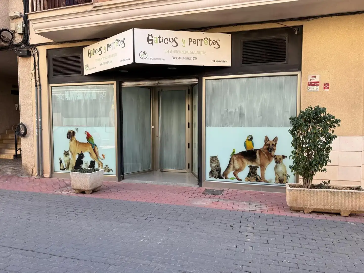Gewerbefläche zur Miete in Pedanías Este