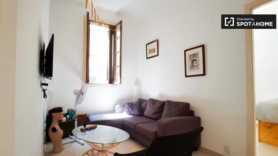 Sala d'estar de Pis de lloguer en Barcelona amb Aire condicionat, Calefacció i Moblat