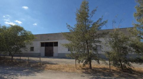 Photo 3 of Land for sale in C. Berlín, Estación de Cártama, Cártama