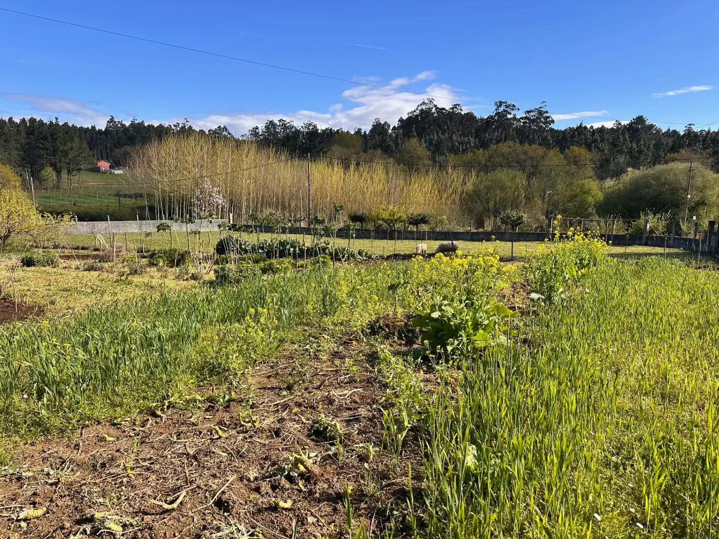 Casa o chalet en venta en Boqueixón con Jardín privado, Amueblado y Balcón