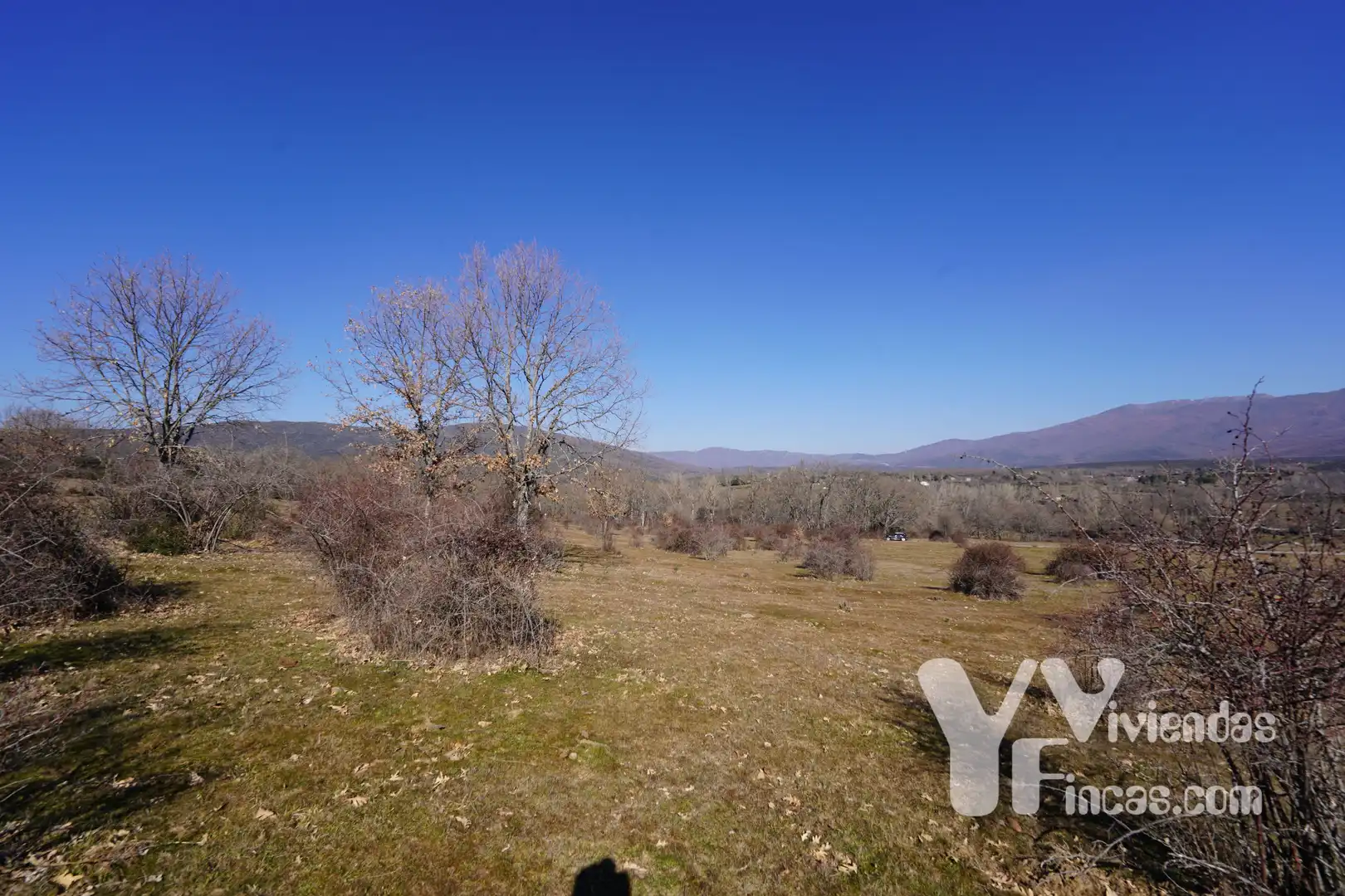 Terreno rústico en venta en Campillo de Ranas, imagen 8