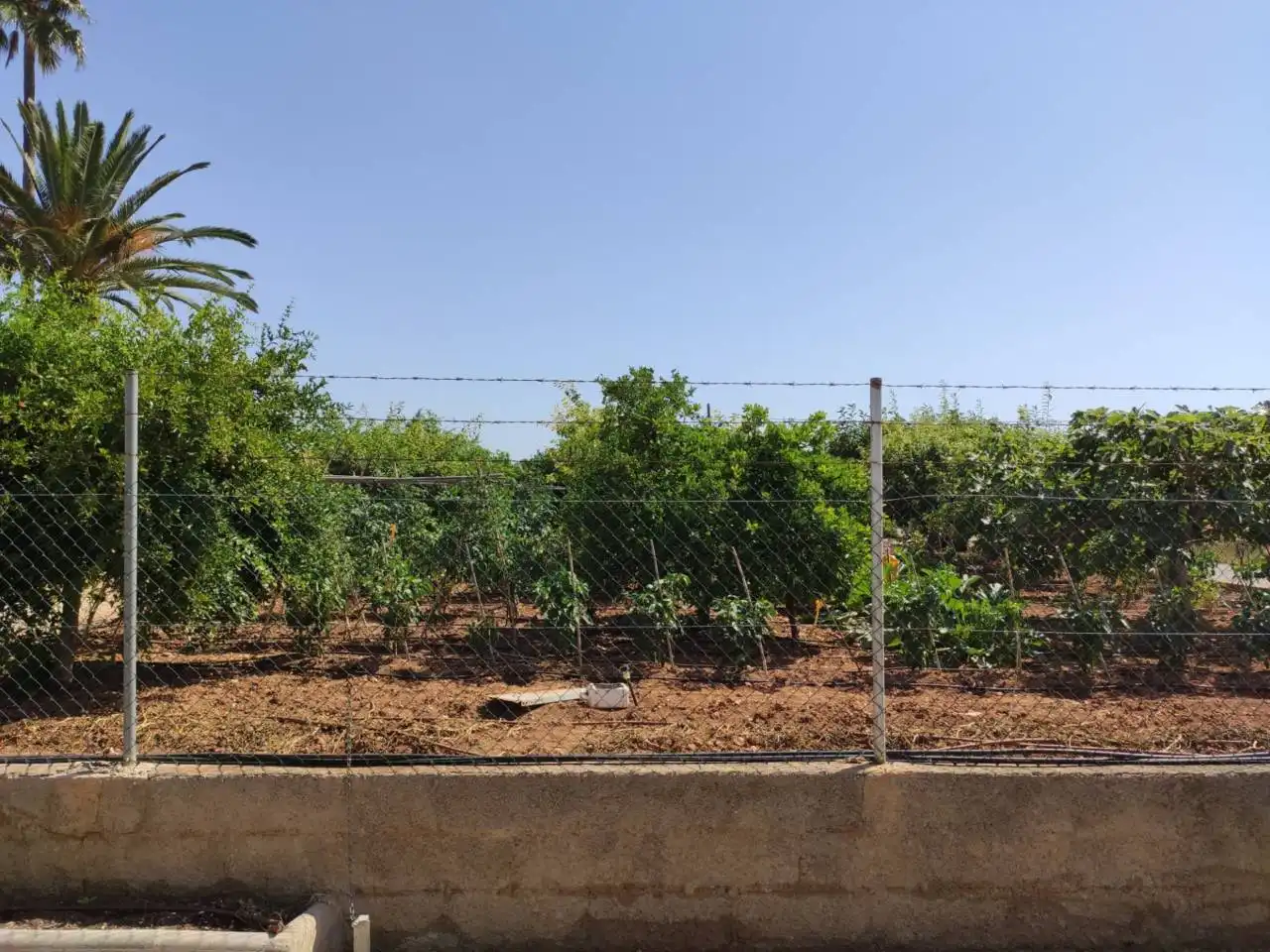 Casa rústica con piscina en venta en Poligono 3, Parcela 398, 301, imagen 14