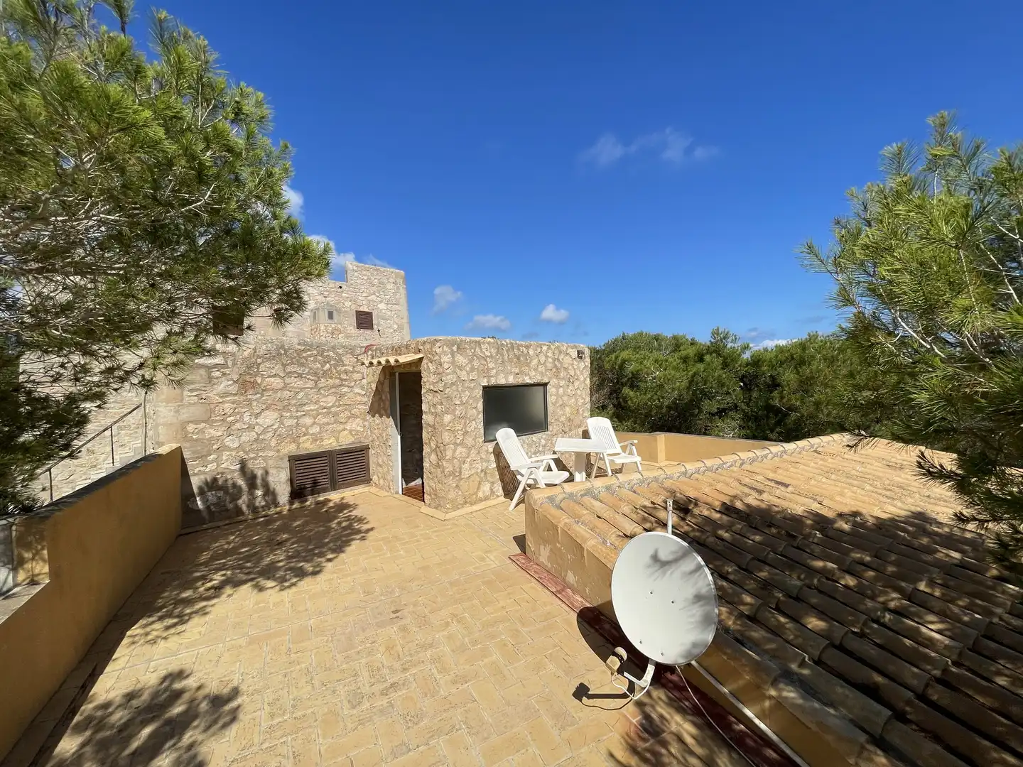 Jardí de Casa o xalet en venda en Formentera amb Jardí privat, Terrassa i Piscina