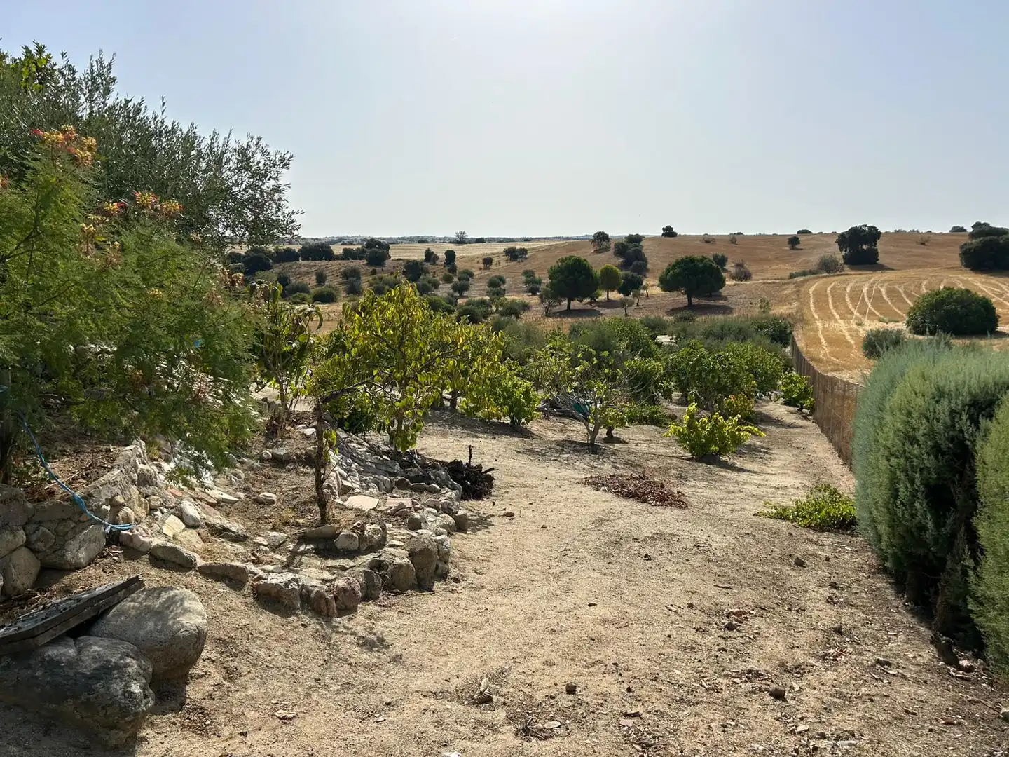 Finca rústica en venda a Méntrida
