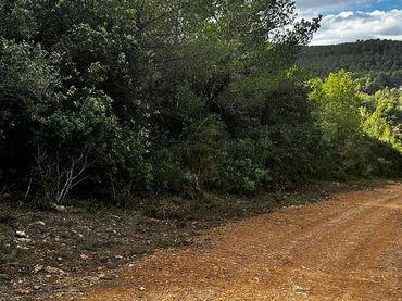 Terreno rustico in vendita a Cervelló