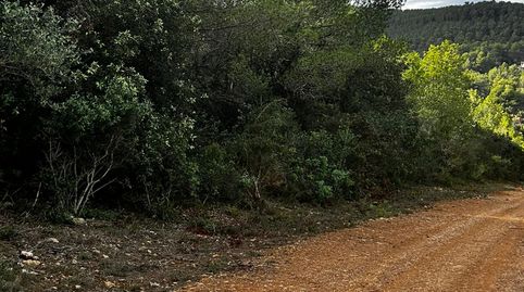 TERRENO AGRICOLA