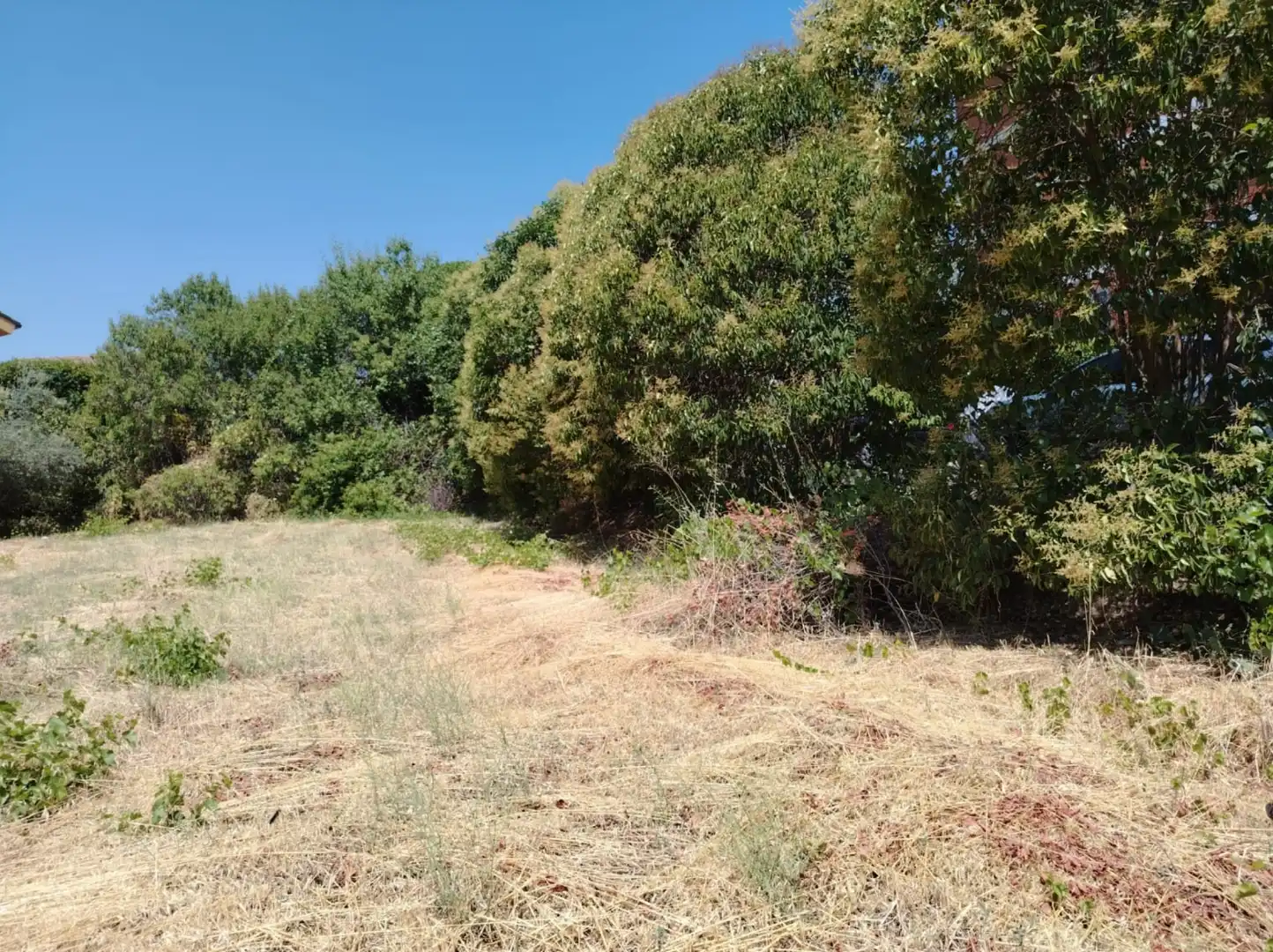 Residential land for sale in Calle del Doctor Manuel Hidalgo Huerta, imagen 7