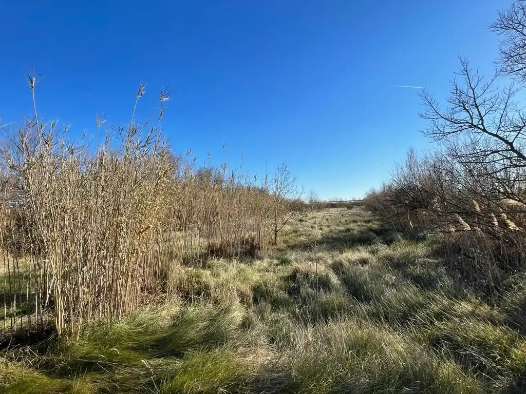Rural land for sale in Sant Pere Pescador, imagen 46