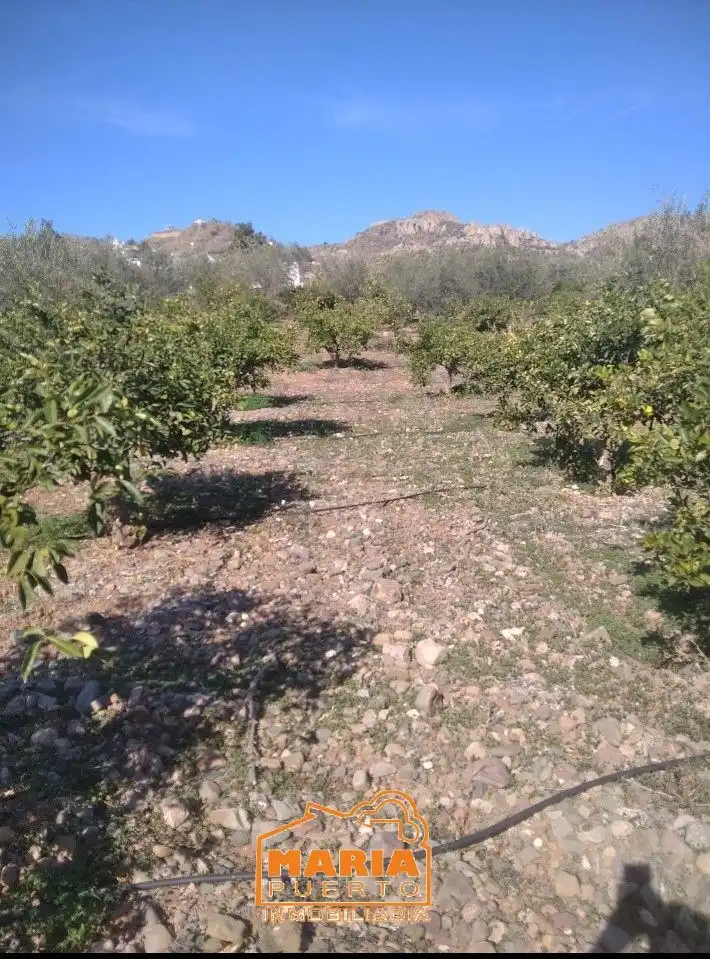 Terrenys i solars en venda a Campanillas, imagen 14