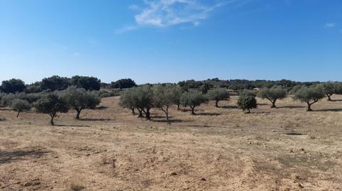 Foto 5 de Casa o xalet en venda a Calleja Sabiera, San Vicente de Alcántara, Badajoz