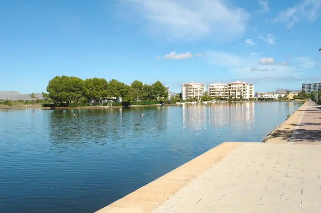 Vista exterior de Casa o xalet en venda en Alcúdia amb Jardí privat, Terrassa i Moblat