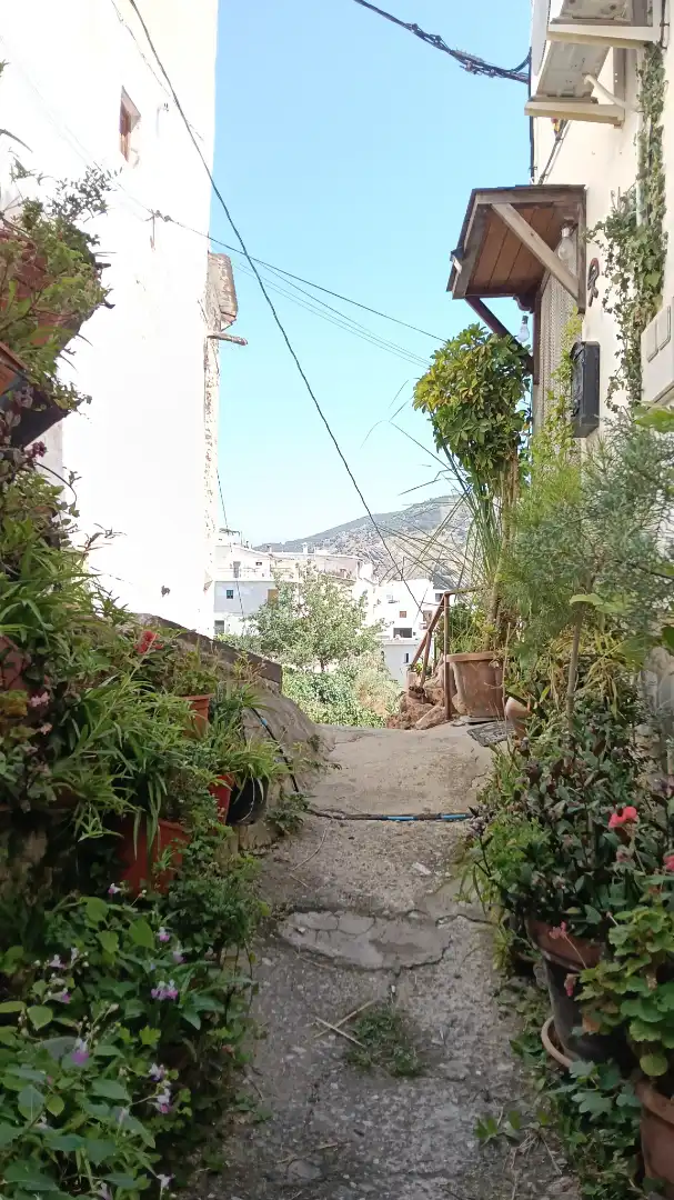 Casa con jardín en venta en Calle Santa Teresa, imagen 37