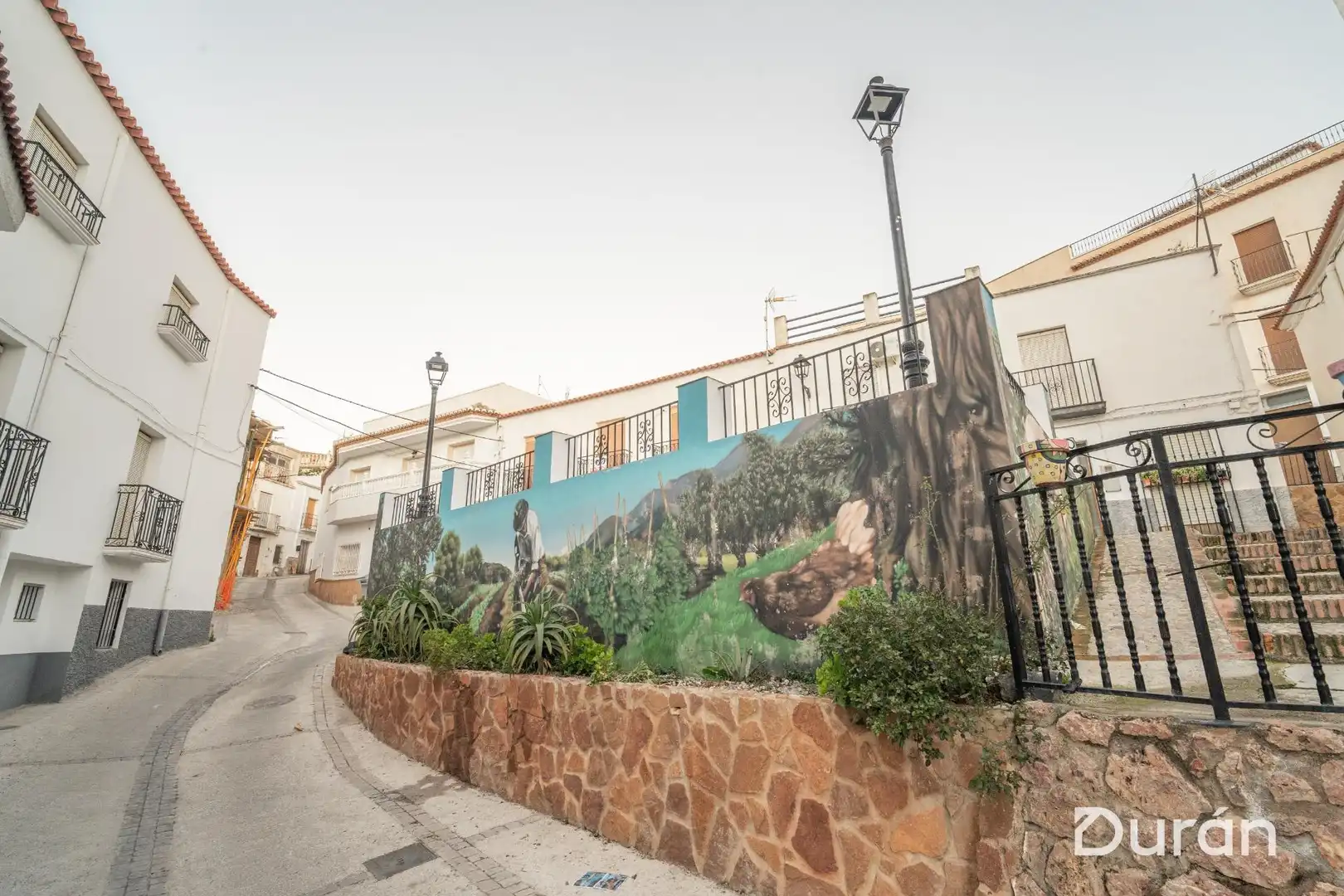 Vista exterior de Finca rústica en venda en Alcolea amb Aire condicionat, Jardí privat i Traster