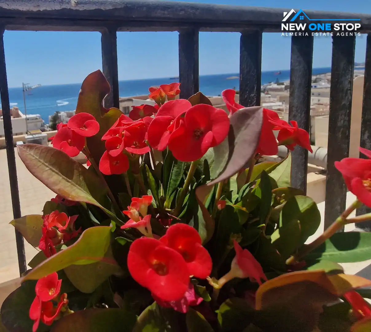 Jardín de Dúplex en venta en Carboneras con Terraza, Horno y Lavadora
