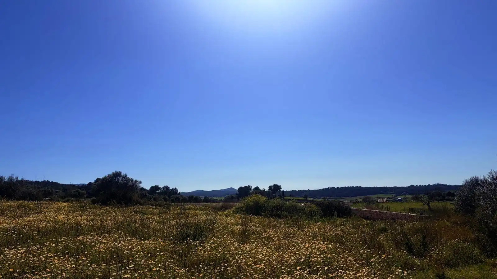 Terreni e lotti in vendita a Algaida, imagen 12