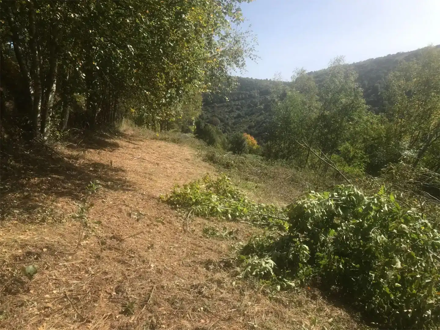 Terreno en venta en Pedrafita do Cebreiro