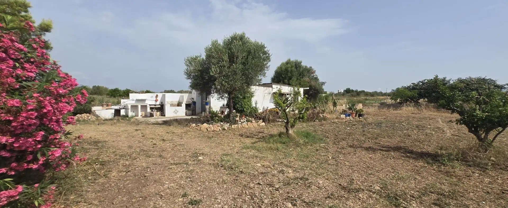 Finca rústica en venda en Vinaròs
