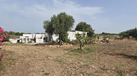 Foto 2 de Finca rústica en venda a Partidas de interior - Zona Rústica, Vinaròs