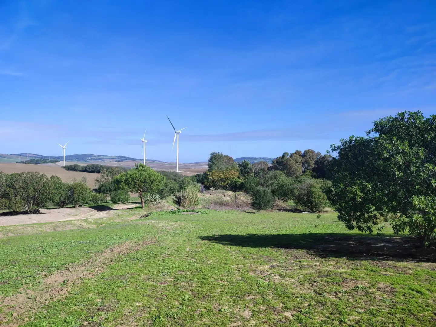 Haus oder Chalet zum Verkauf in Vejer de la Frontera mit Heizung, Privatgarten und Parkett