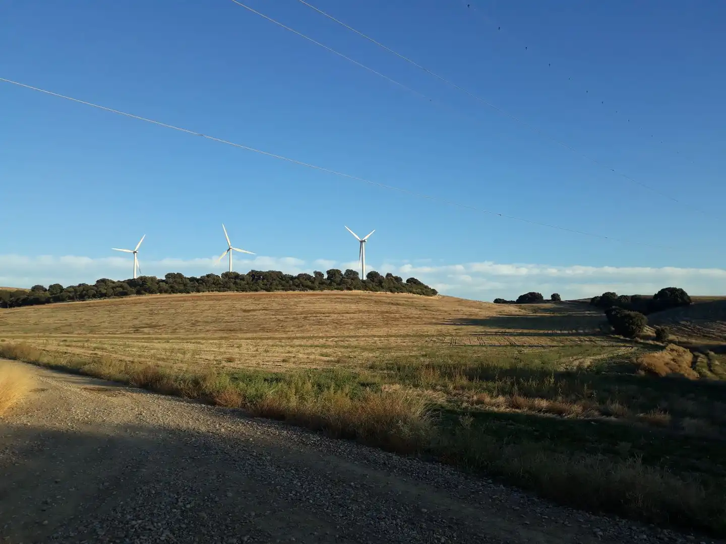 Finca rústica en venta en GURREA DE GALLEGO, Gurrea de Gállego