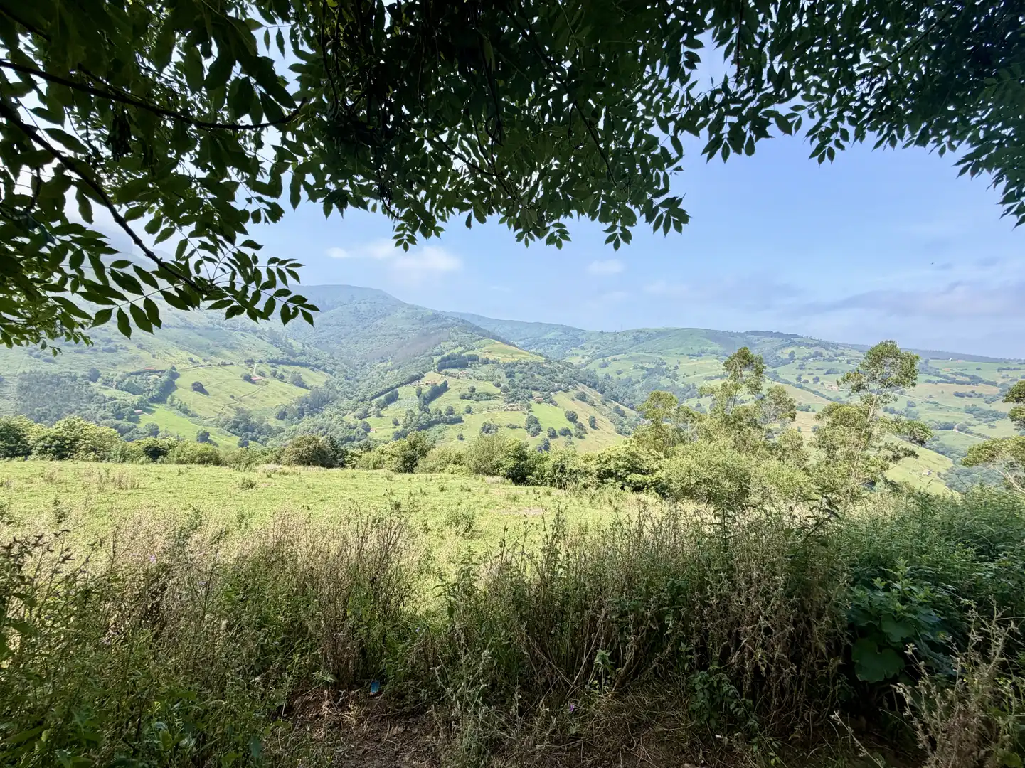 Casa o chalet en venta en Liérganes con Jardín privado