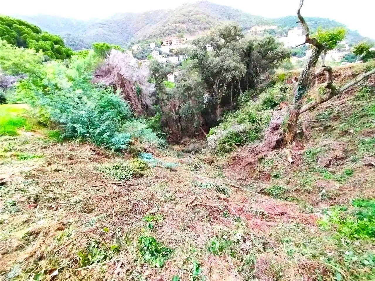 Residential land for sale in Urbanizacion de Rosamar, imagen 15